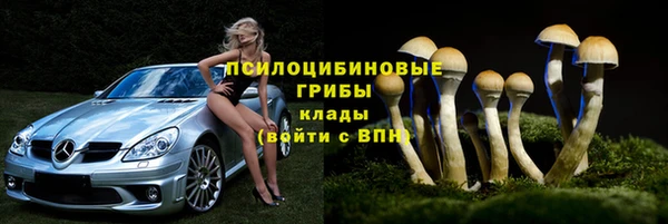 дурь Бугульма