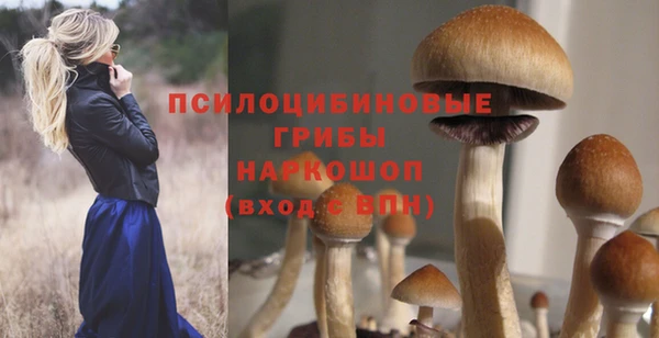 дурь Бугульма