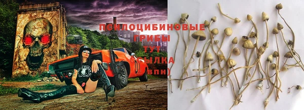 первитин Бородино