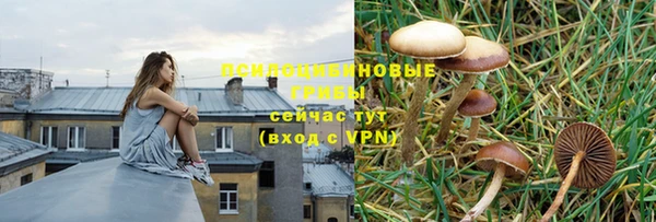 дурь Бугульма