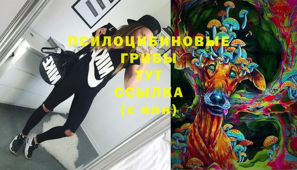 первитин Бородино