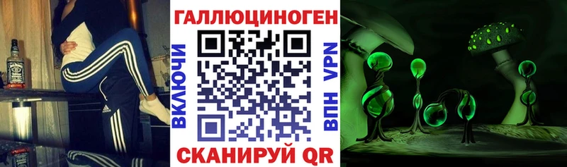 Псилоцибиновые грибы MAGIC MUSHROOMS  цена   Городец 
